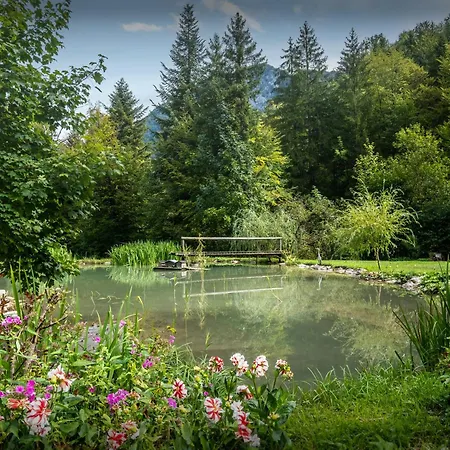 La Ferme Du Cortet - Ovo Network * Thônes